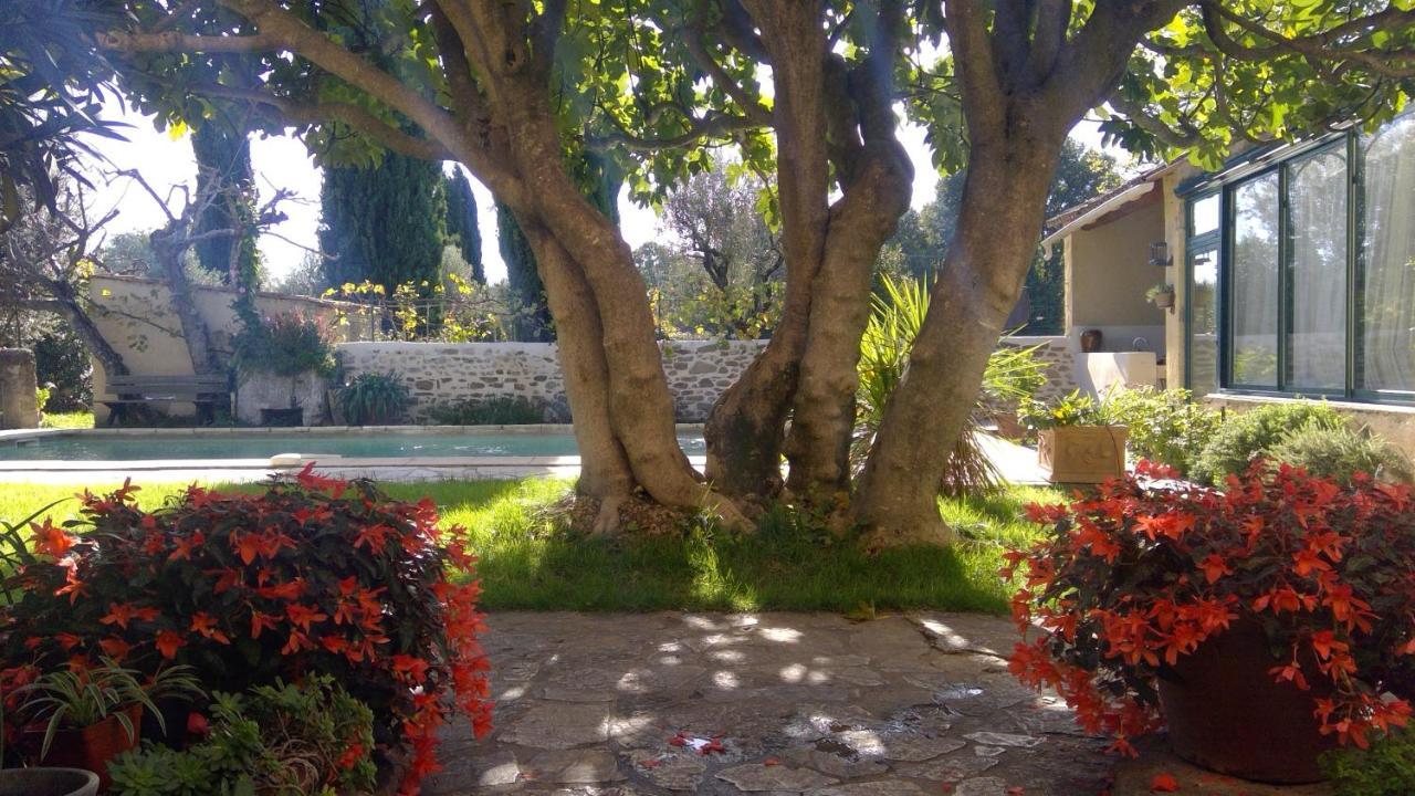 Апартаменты Sous Le Figuier... Buisson Экстерьер фото
